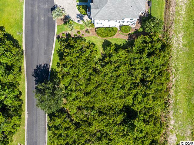 Lot 24 Ballyhoo Street Georgetown, SC 29440 - Photo 5 of 23 Gallery Image 5