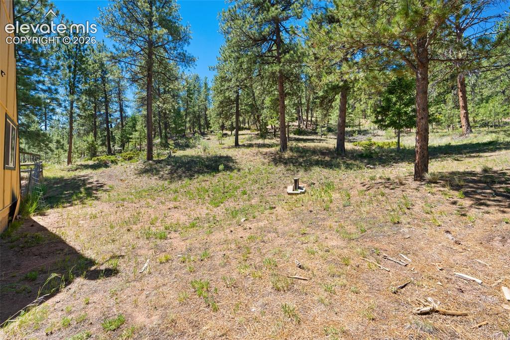 5463 High Park Road Florissant, CO 80816 - Photo 34 of 49