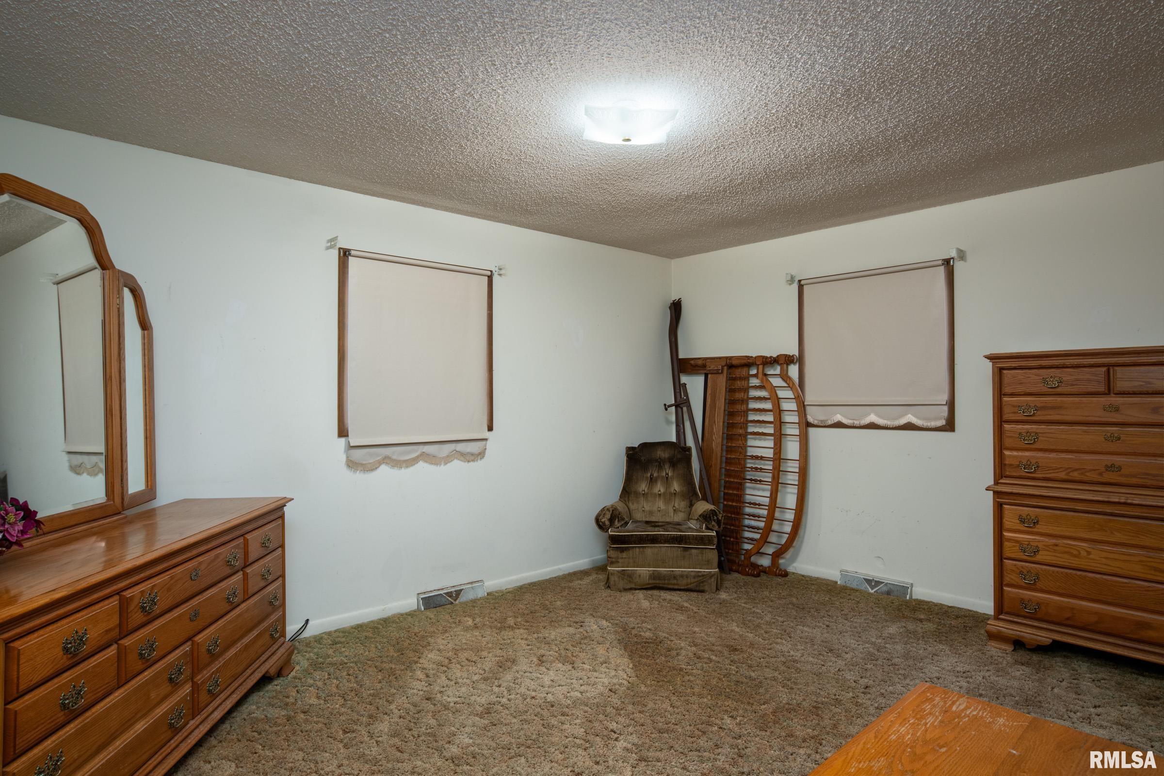 17209 Canaville Road Creal Springs, IL 62922 - Photo 13 of 35