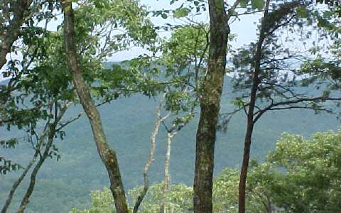 Lot1 B Lot1 B Road Ellijay, GA 30536 - Photo 1 of 1 Main View