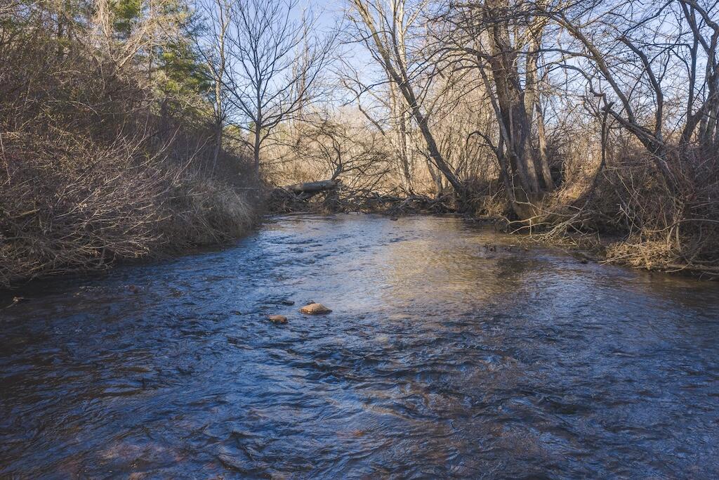 Tbd Epperly Mill Road Southwest Floyd, VA 24091 - Photo 11 of 24 1 (10)