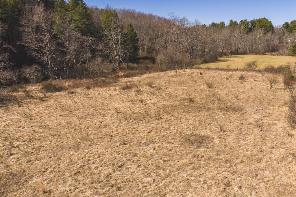 Tbd Epperly Mill Road Southwest Floyd, VA 24091 - Photo 18 of 24 1 (17)