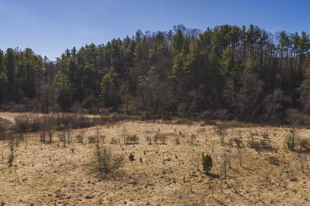 Tbd Epperly Mill Road Southwest Floyd, VA 24091 - Photo 20 of 24 1