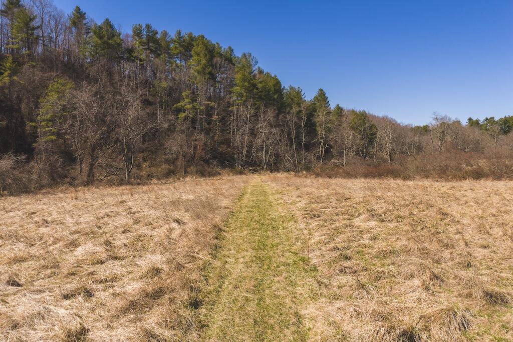 Tbd Epperly Mill Road Southwest Floyd, VA 24091 - Photo 22 of 24 1b