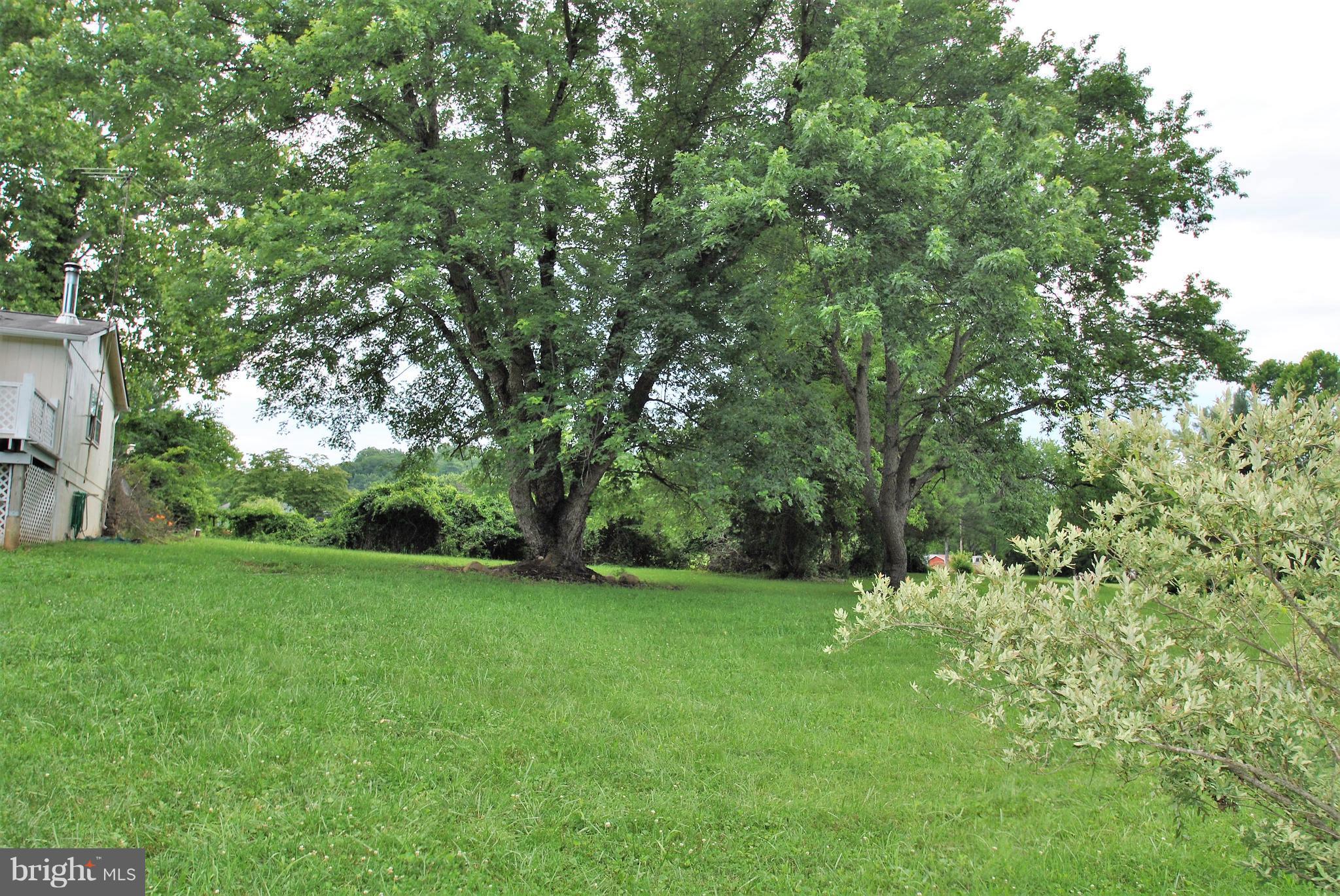5930 Howellsville Road Front Royal, VA 22630 - Photo 20 of 22 a view of a green field with trees in the background
