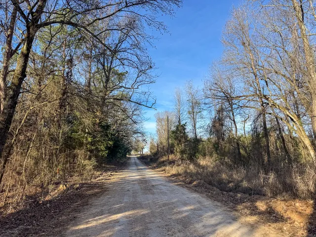 a view of a yard with plants and trees