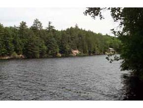 40 Winklemans Point Road Antrim, NH 03440 - Photo 4 of 4
