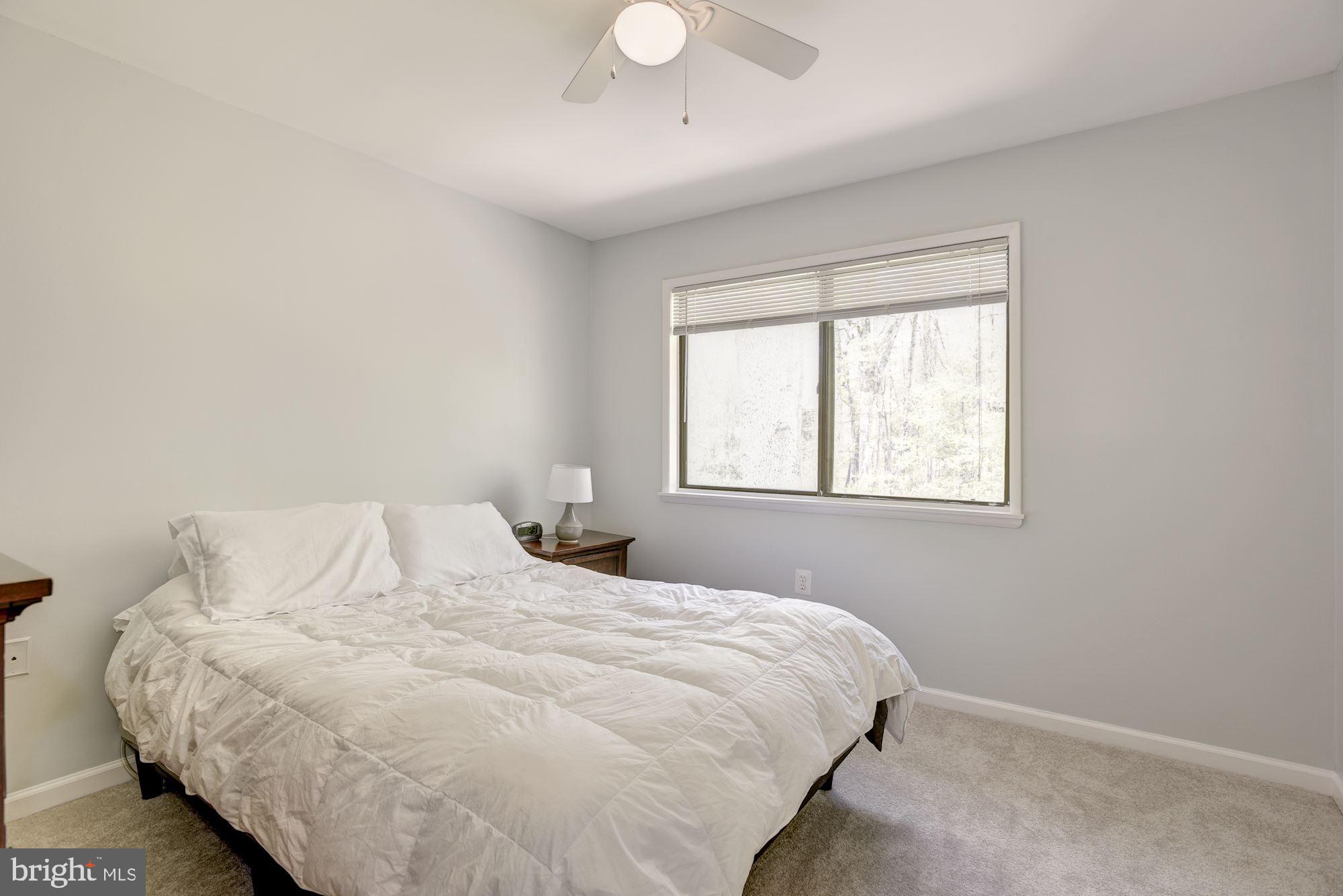 2454 Cloudcroft Square Reston, VA 20191 - Photo 11 of 29 Master Bedroom