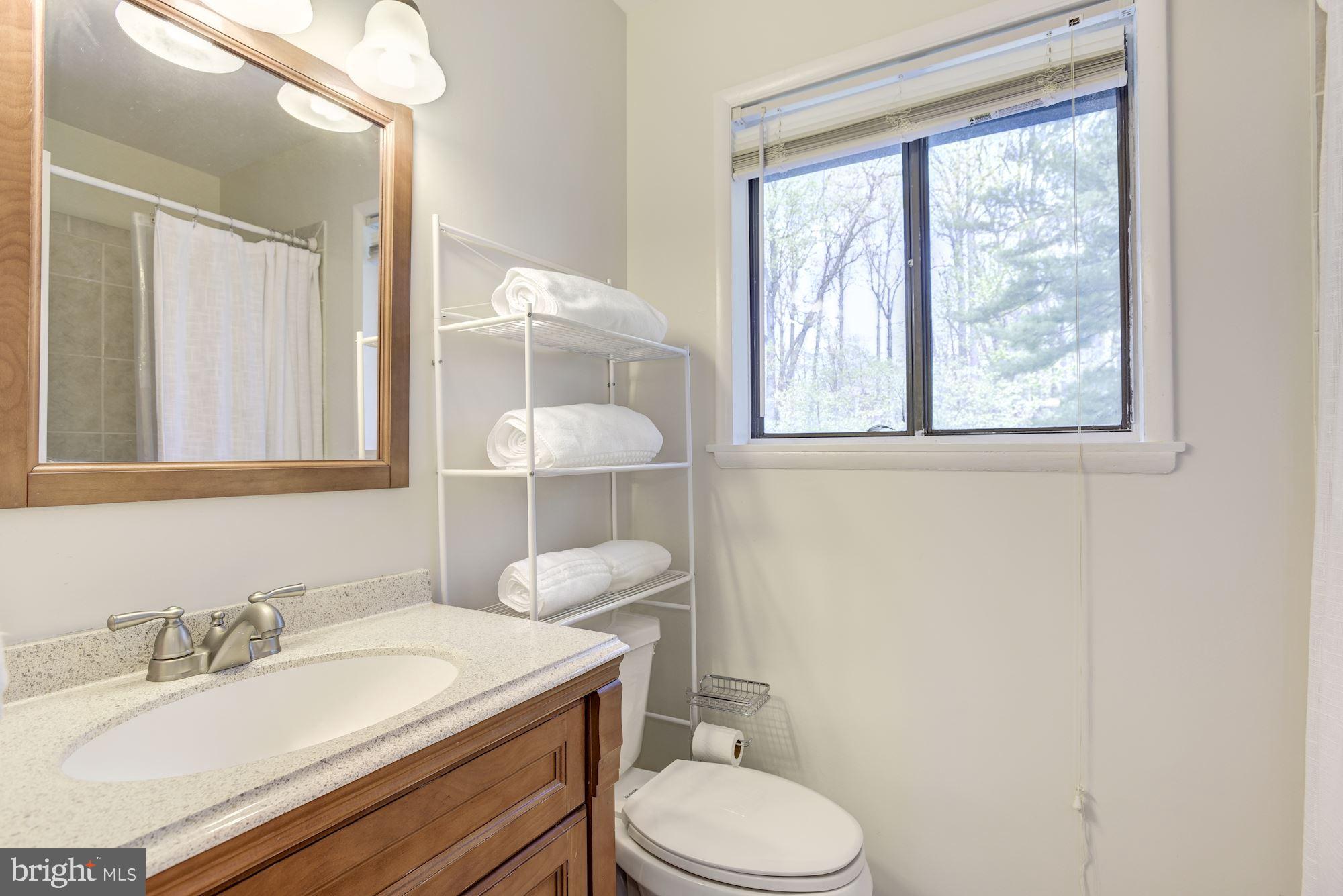 2454 Cloudcroft Square Reston, VA 20191 - Photo 16 of 29 Full Bath with Shower-Upper Level