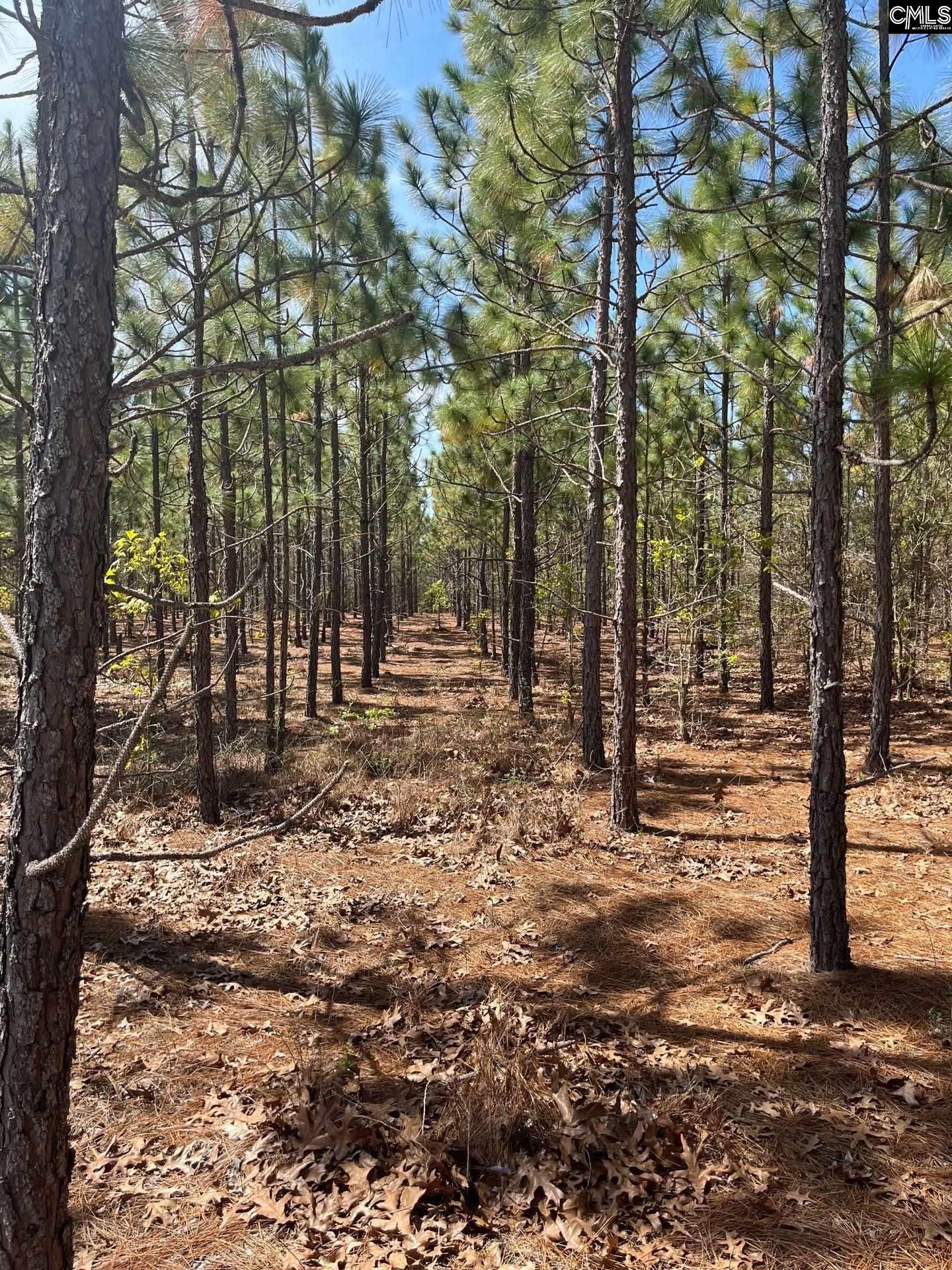 5 Beaver Dam Road Cassatt, SC 29032 - Photo 17 of 17