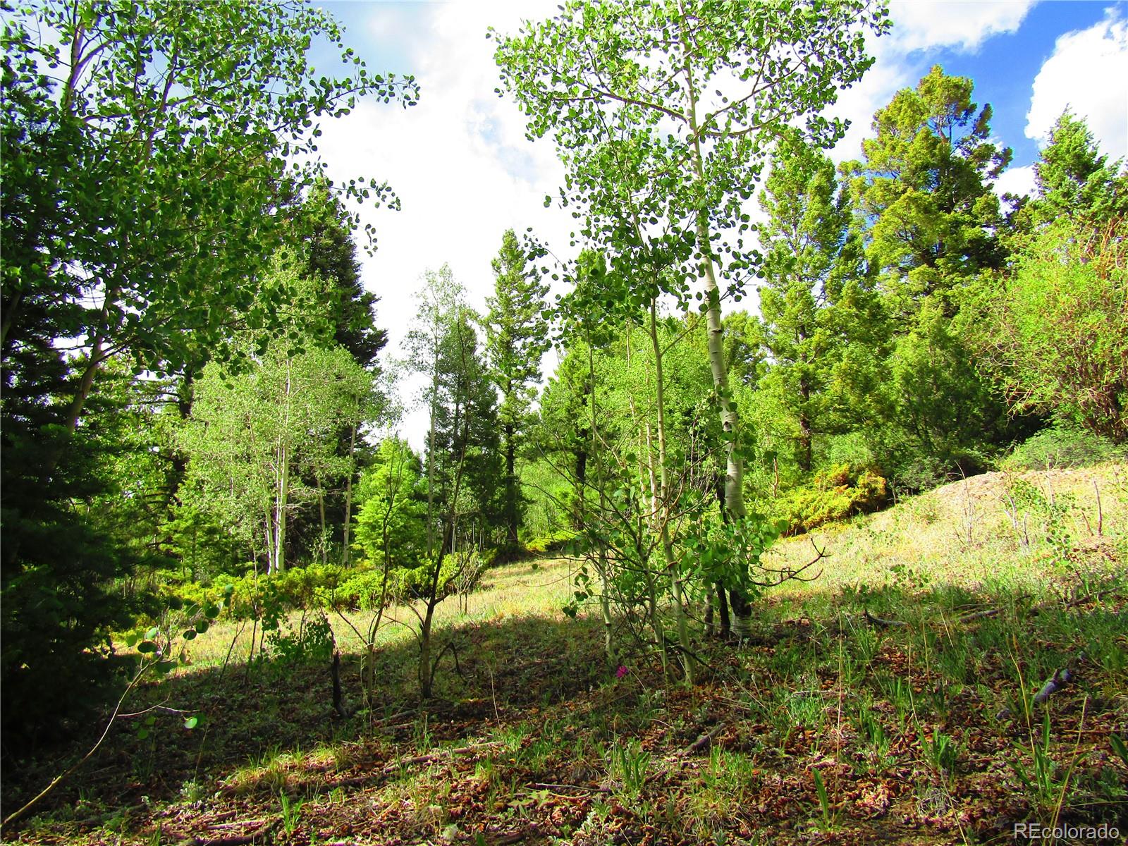 Lot 6093 Forbes Road San Luis, CO 81152 - Photo 9 of 14