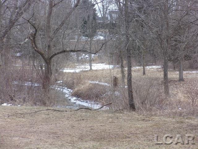 16000 Beecher Road Hudson, MI 49247 - Photo 11 of 14