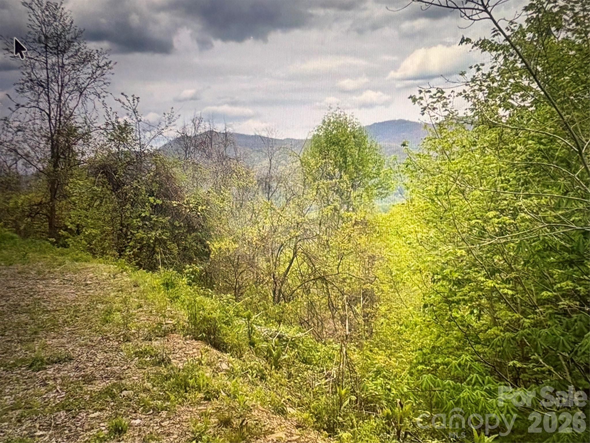 0 Huckleberry Walk, Unit 61 Bryson City, NC 28713 - Photo 2 of 10