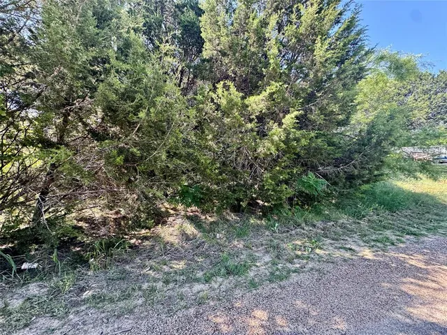 a view of a large yard with lots of green space