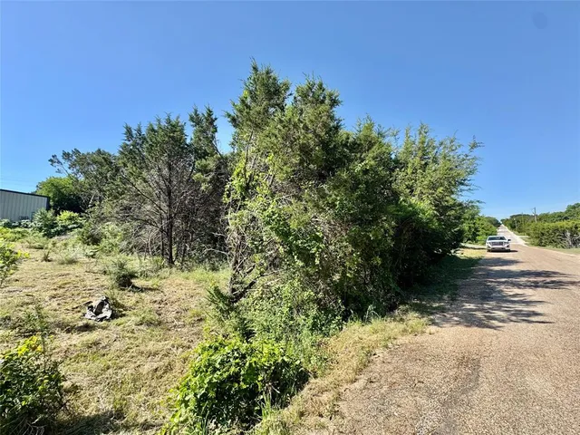 a view of a yard with plants and a trees