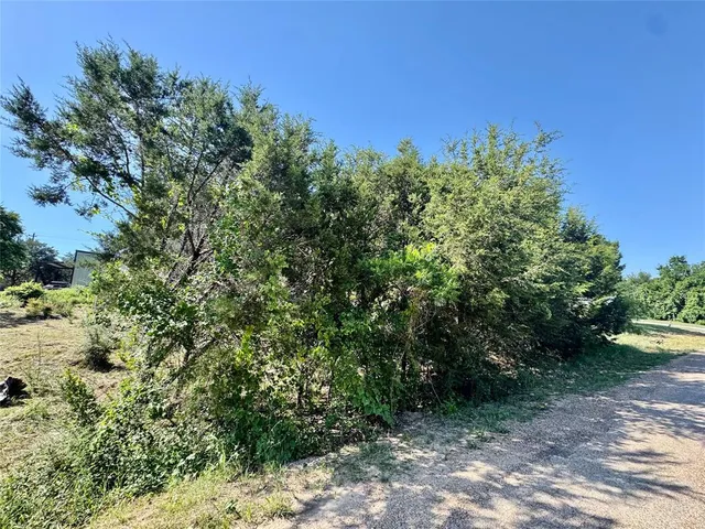 a view of a yard with plants and a tree