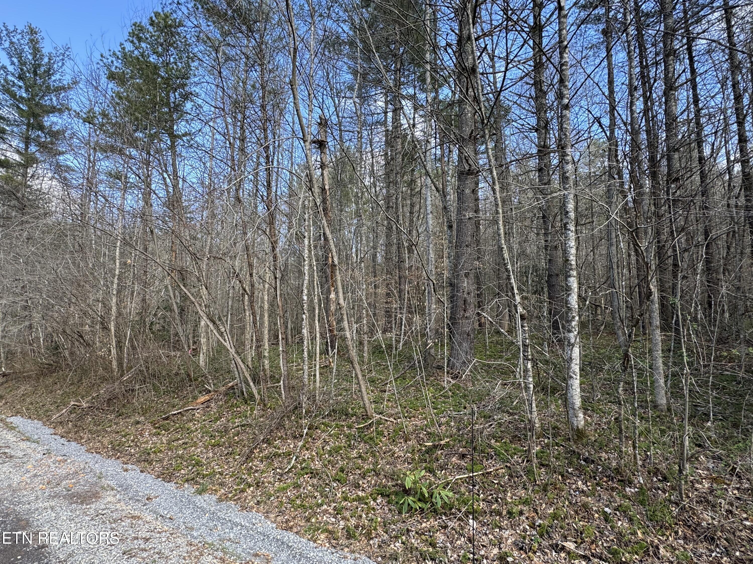 Trail Trail Del Rio, TN 37727 - Photo 6 of 7 IMG_4271