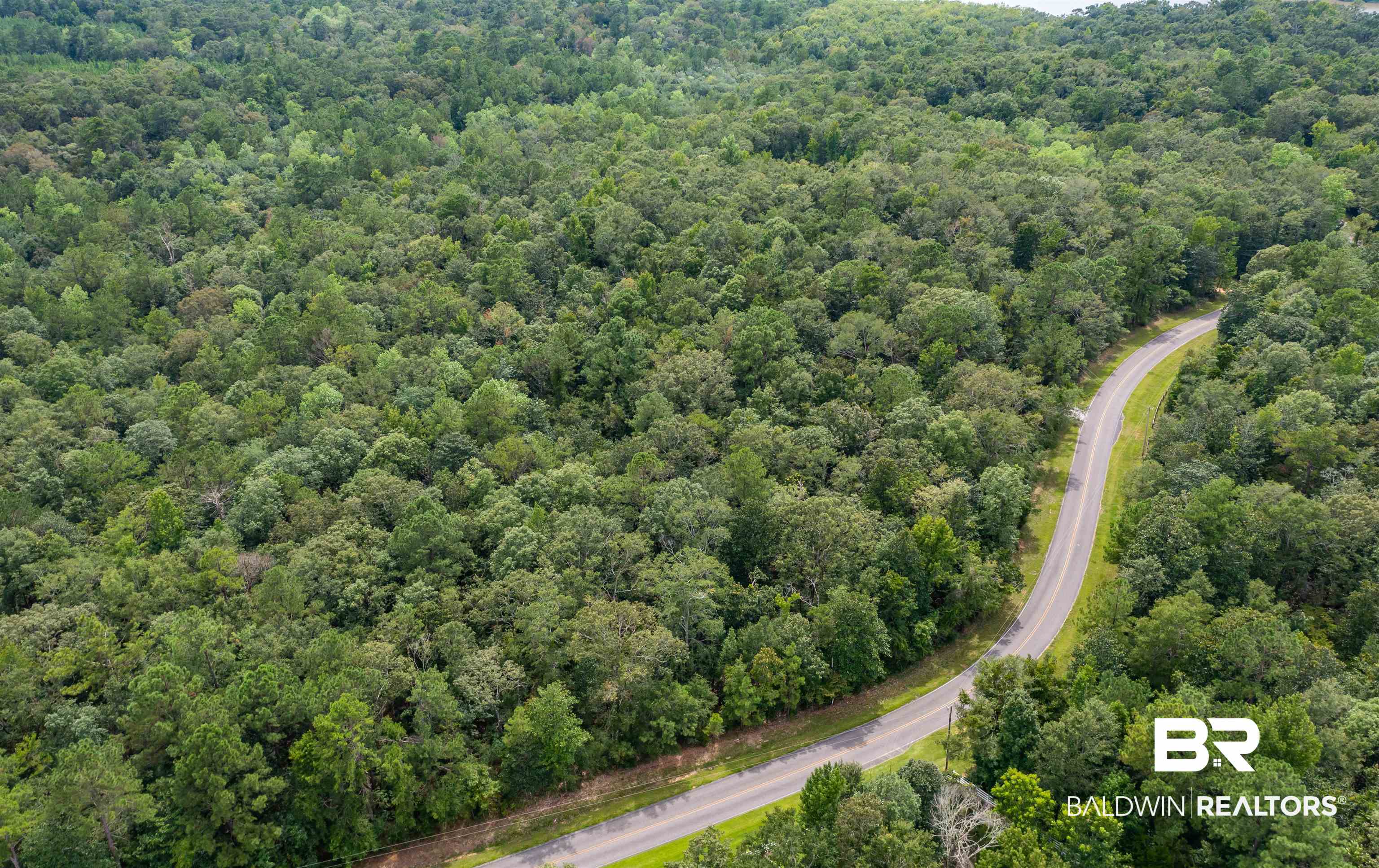 0 Patricks Ldg Road Bay Minette, AL 36507 - Photo 9 of 13