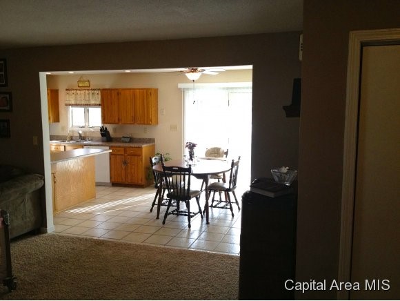218 West Raylots Spaulding, IL 62561 - Photo 8 of 19 Gallery Image 8
