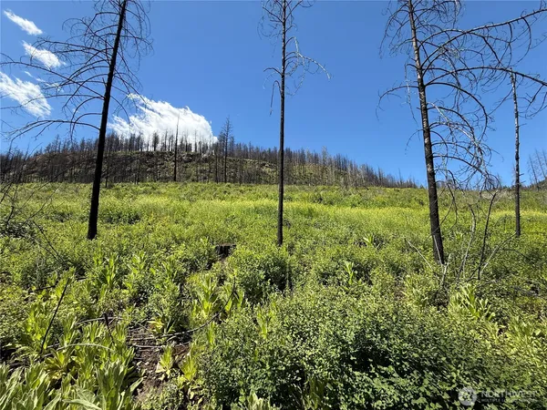 $55,000 | 32 4th Of July Creek Road, Danville, WA 99121