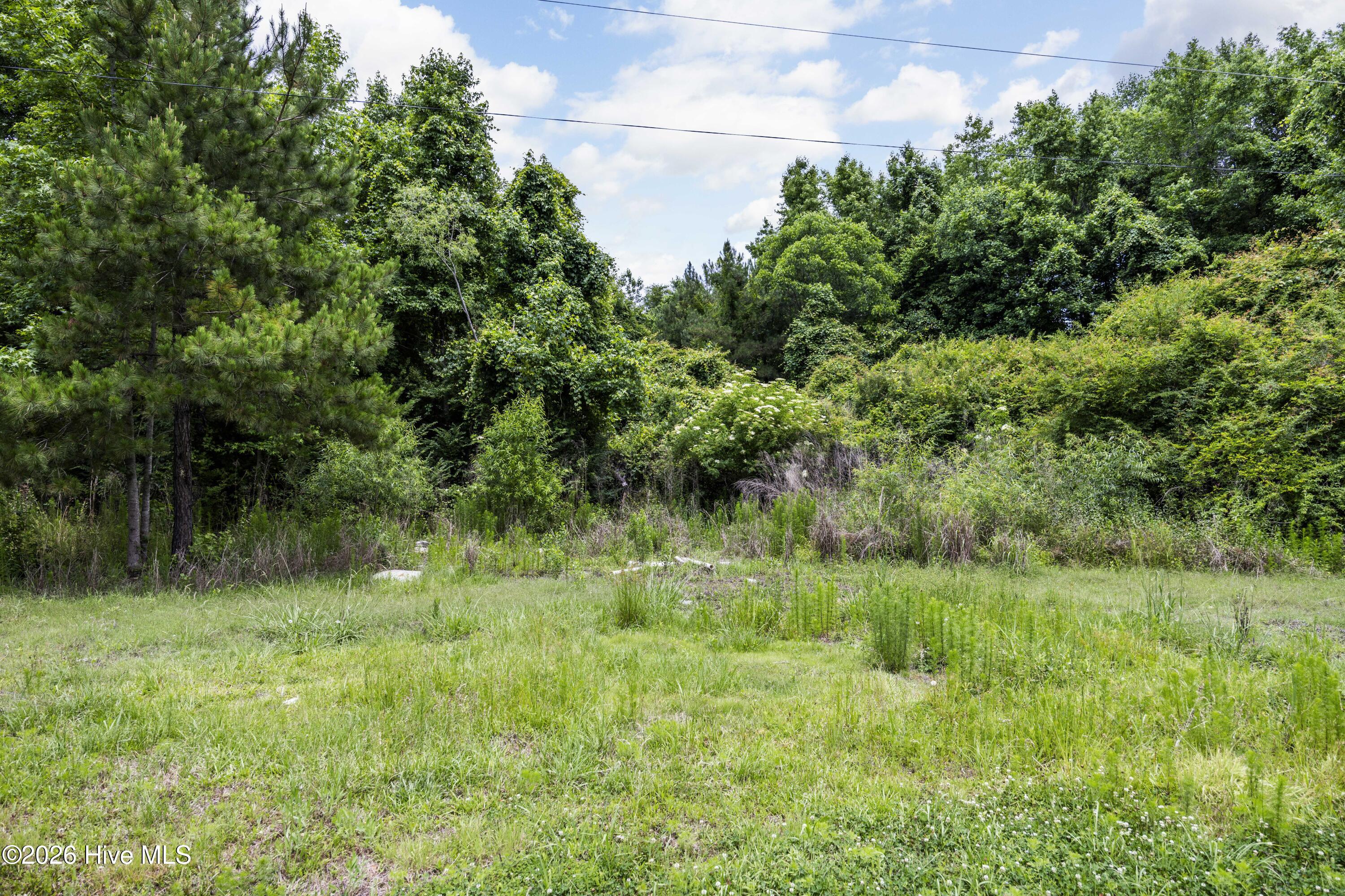 0 Near 4868 Delco Pros Road Delco, NC 28436 - Photo 8 of 10