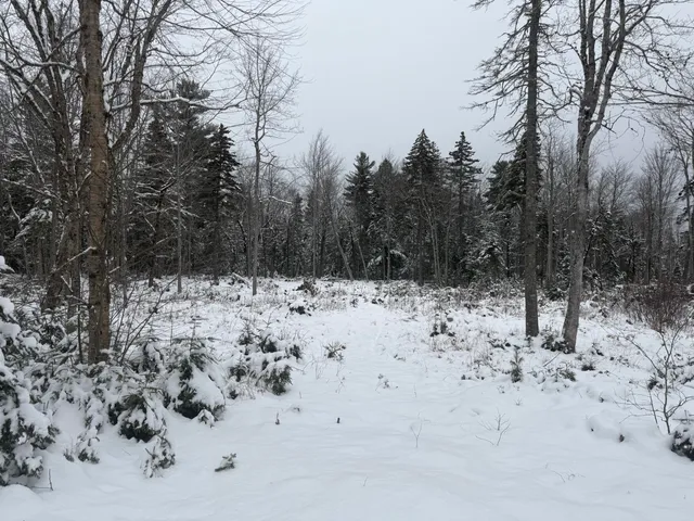 $58,000 | Lot 11 Sunset Hill Road, Hancock, ME 04640