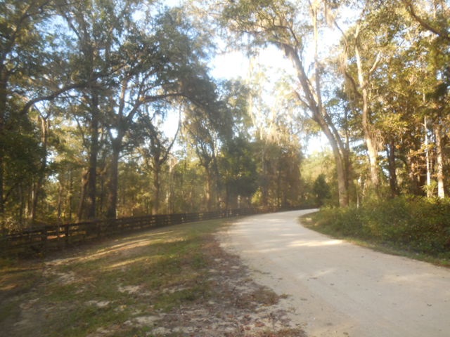 1091 Ridge Road Monticello, FL 32344 - Photo 1 of 36 Gallery Image 1