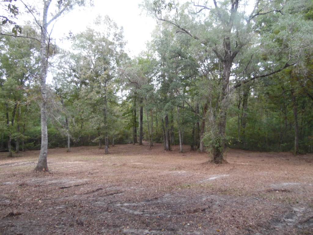 1091 Ridge Road Monticello, FL 32344 - Photo 3 of 36 Gallery Image 3