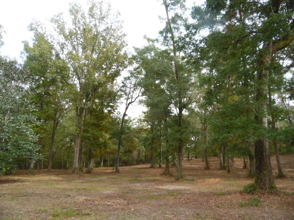 1091 Ridge Road Monticello, FL 32344 - Photo 6 of 36 Gallery Image 6