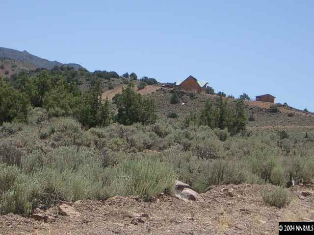1755 Piute Creek Road Reno, NV 89510 - Photo 3 of 5 a view of a mountain