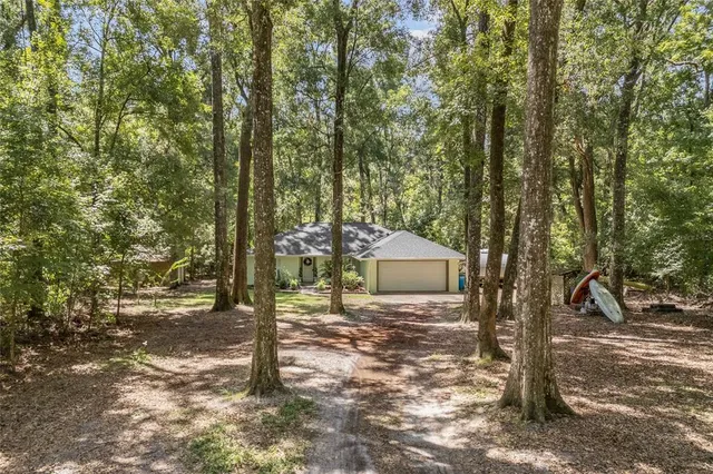 a view of a street with large trees