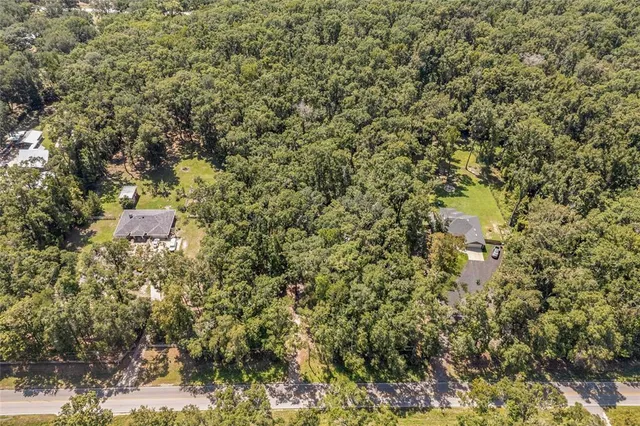 a view of a tree with a yard