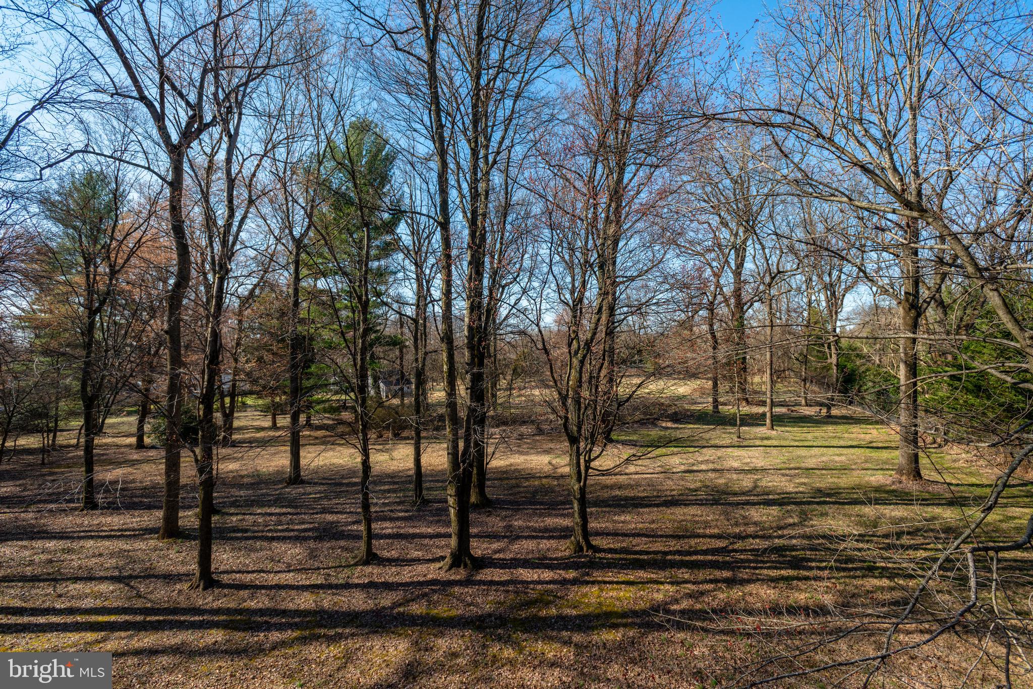10030 Chapel Road Potomac, MD 20854 - Photo 19 of 29