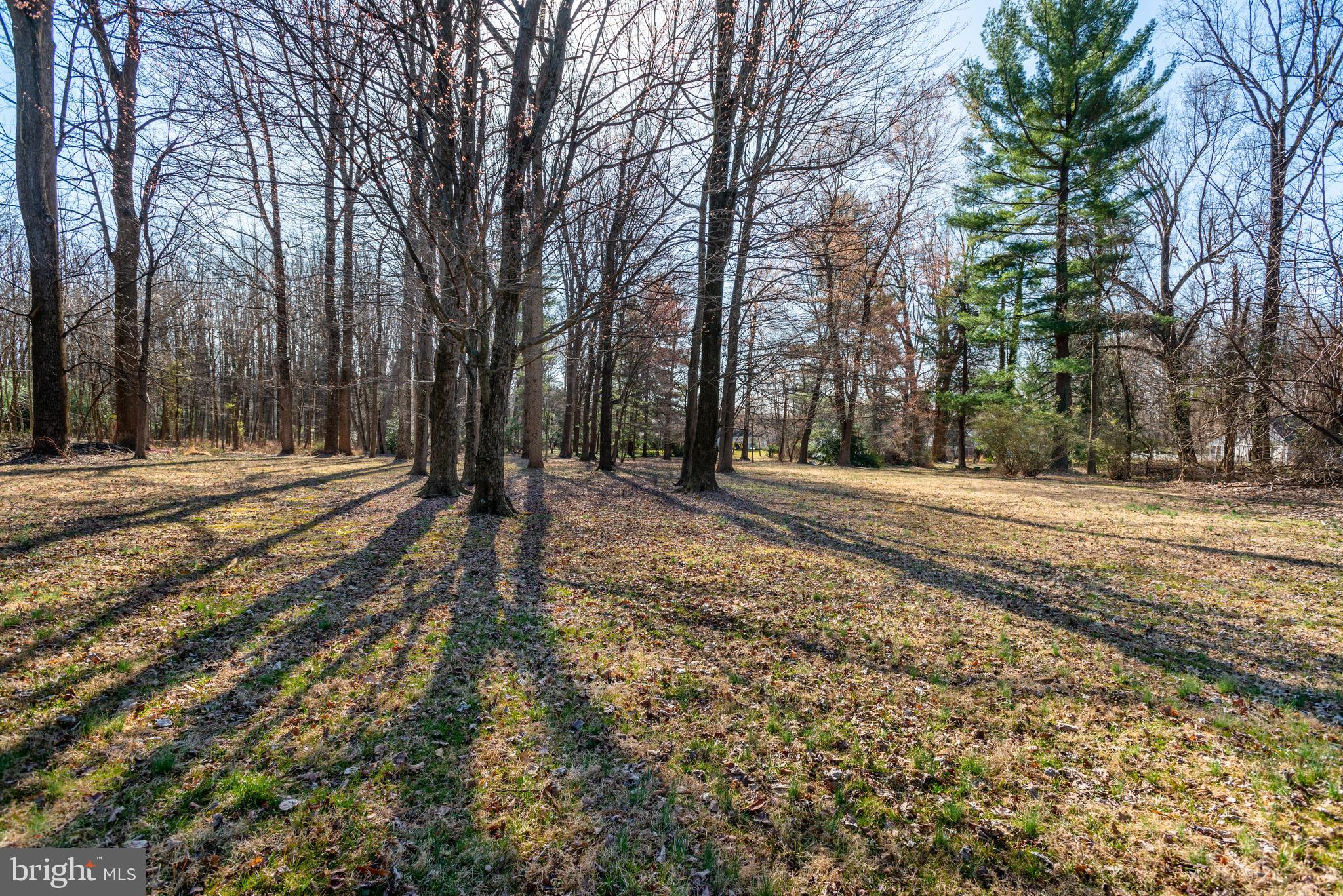 10030 Chapel Road Potomac, MD 20854 - Photo 21 of 29