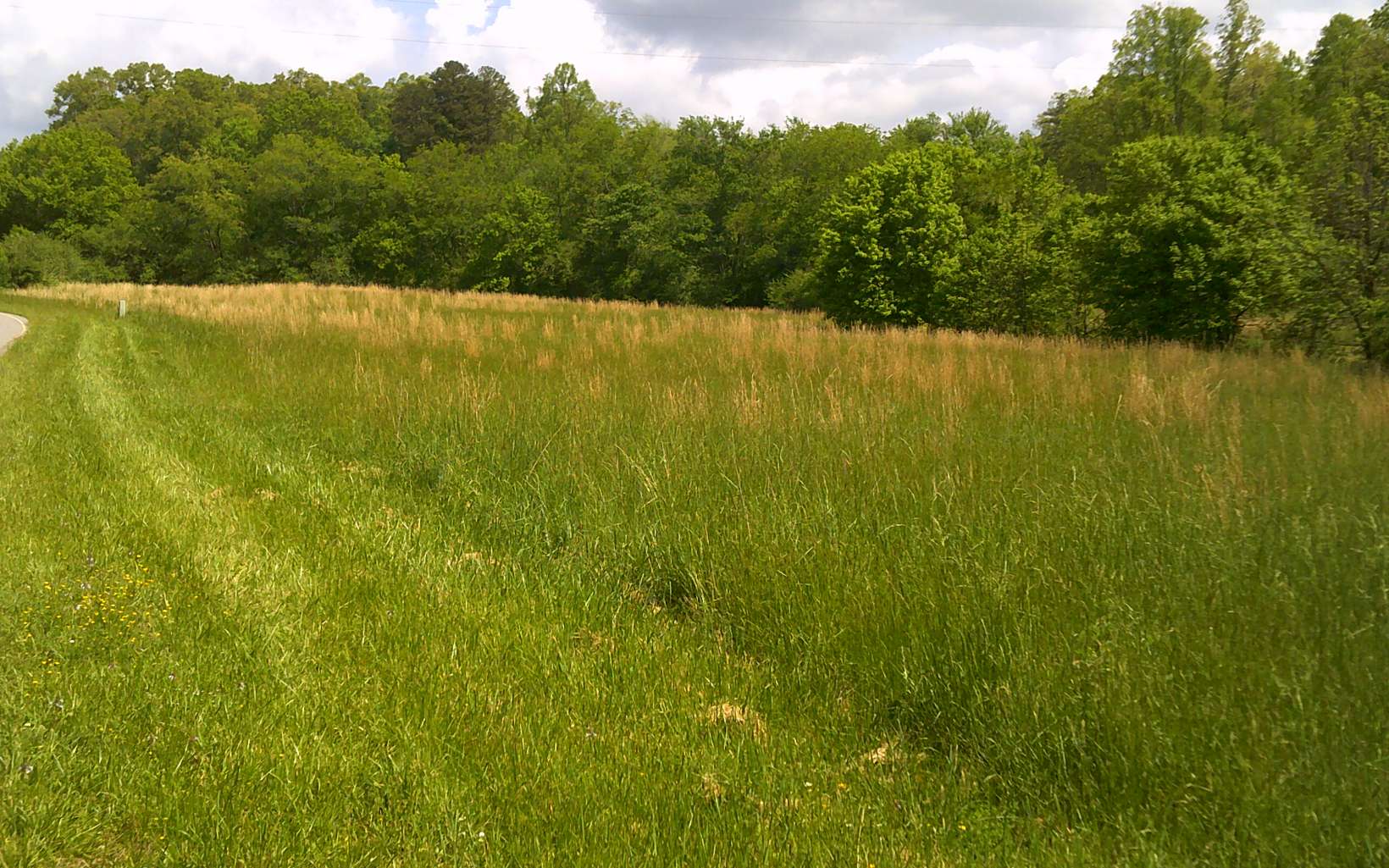 Old Dial Road Morganton, GA 30560 - Photo 1 of 1 Main View