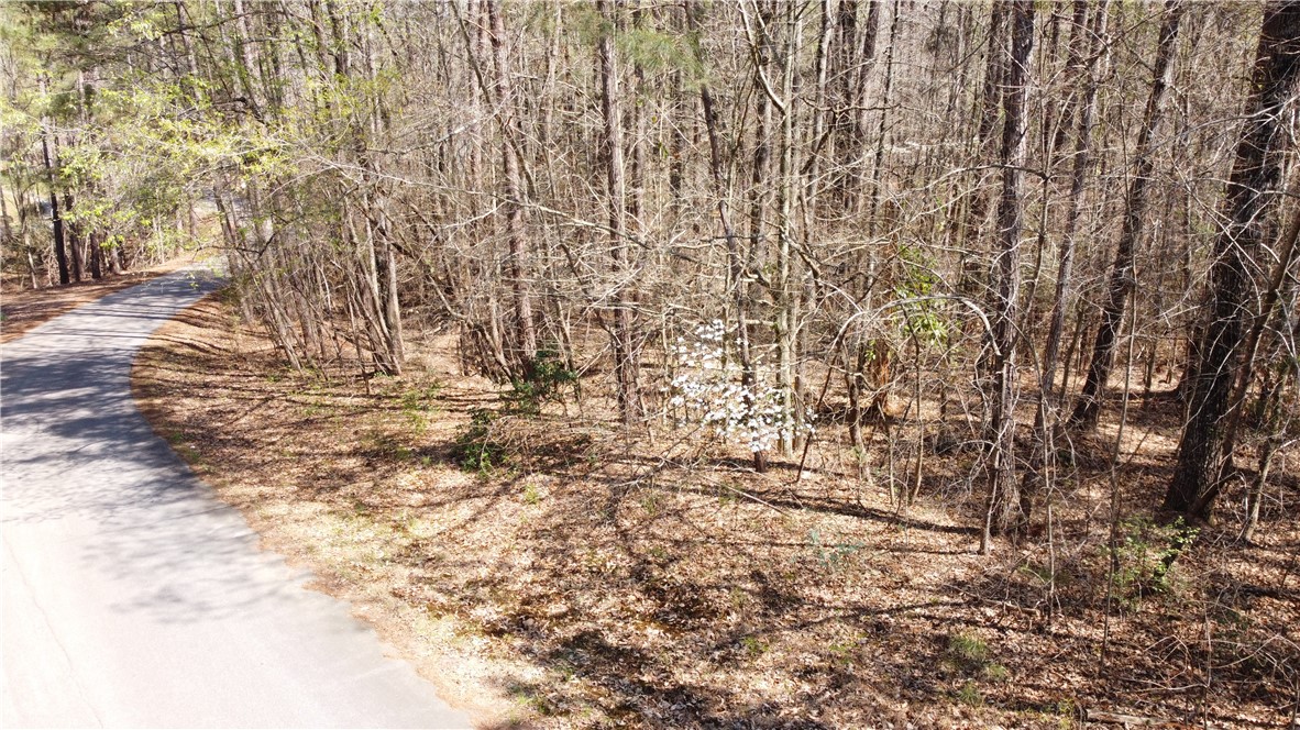 0 North Woodbury Road Seneca, SC 29672 - Photo 3 of 5 Scenic wooded parcel offering a private retreat with ample space for building.