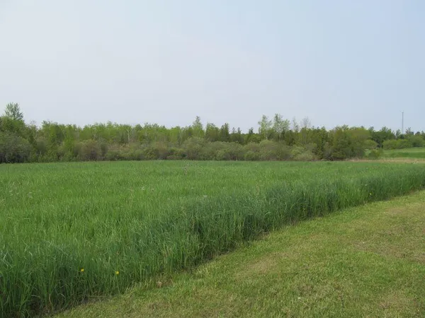 $19,900 | Lot #18 Hemlock Street, McBain, MI 49657