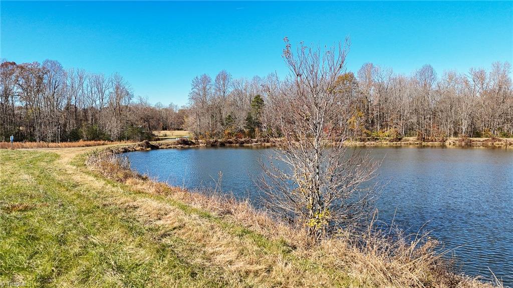 6605 Phillippi Road Liberty, NC 27298 - Photo 7 of 31