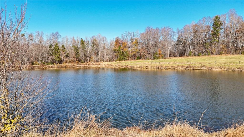 6605 Phillippi Road Liberty, NC 27298 - Photo 8 of 31