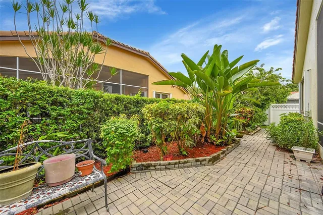 a view of a backyard with plants