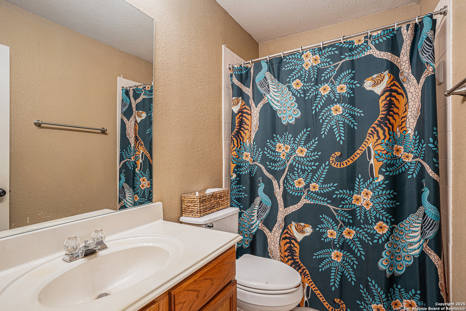 117 Hidden Fawn Cibolo, TX 78108 - Photo 23 of 25 a bathroom with a sink and mirror with toilet