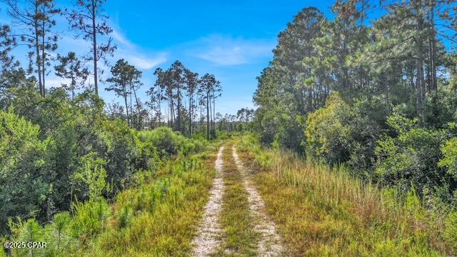 0 Nelson Road Southport, FL 32409 - Photo 6 of 11 Gallery Image 6