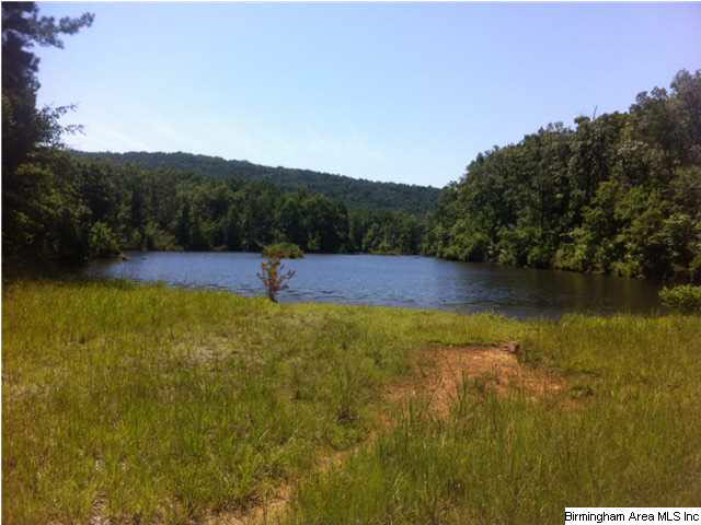 Hidden Ridge, Unit 32 Chelsea, AL 35043 - Photo 1 of 5