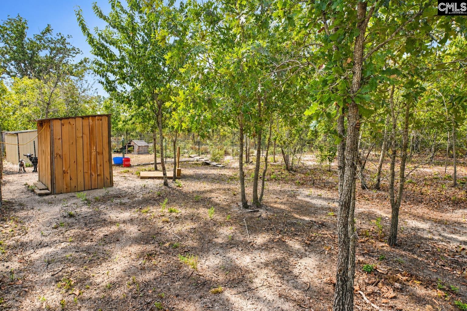 415 Finback Road Wagener, SC 29164 - Photo 62 of 72 Gallery Image 62