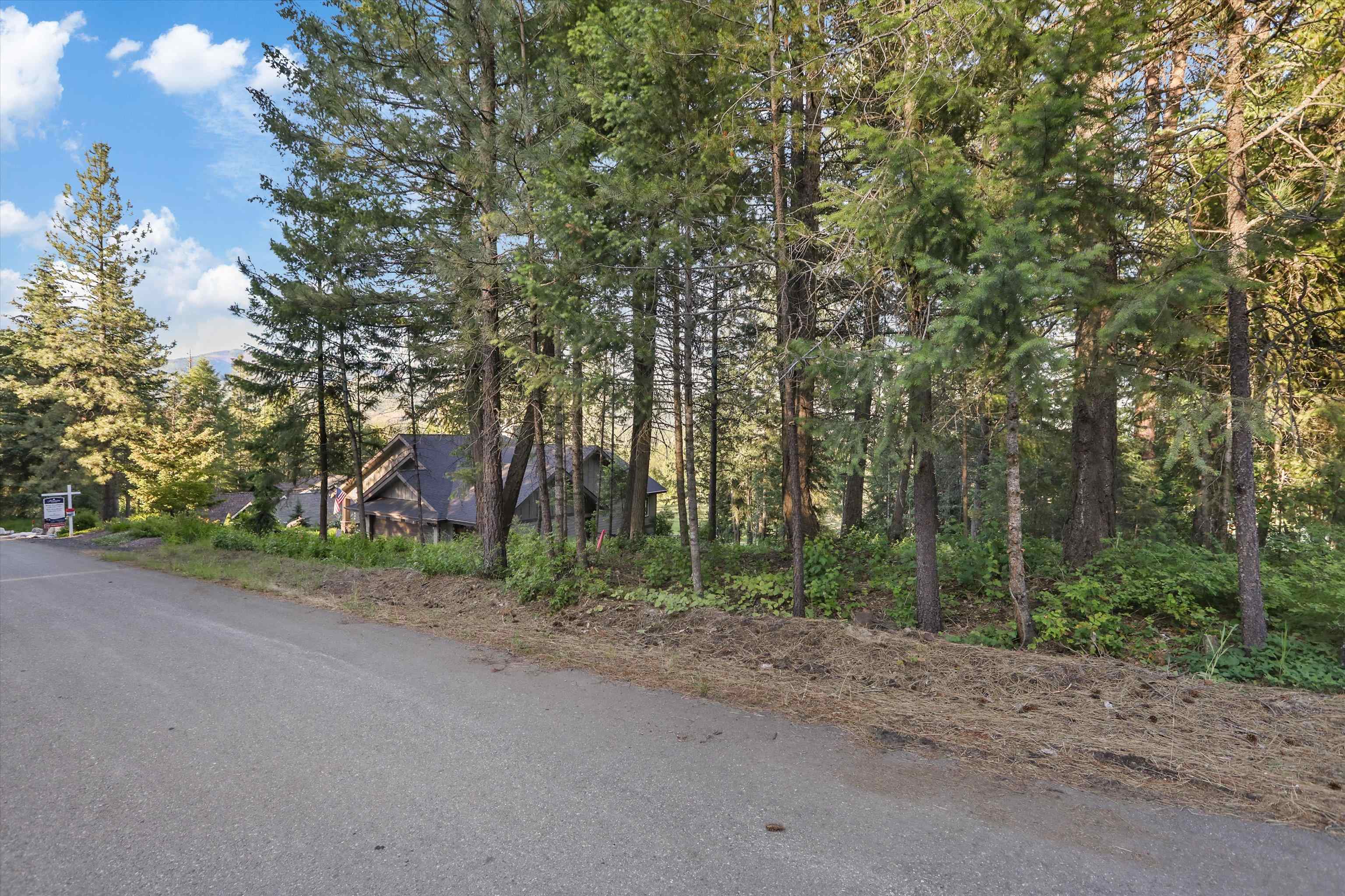 Xxx Berkshire Road Blanchard, ID 83804 - Photo 13 of 23
