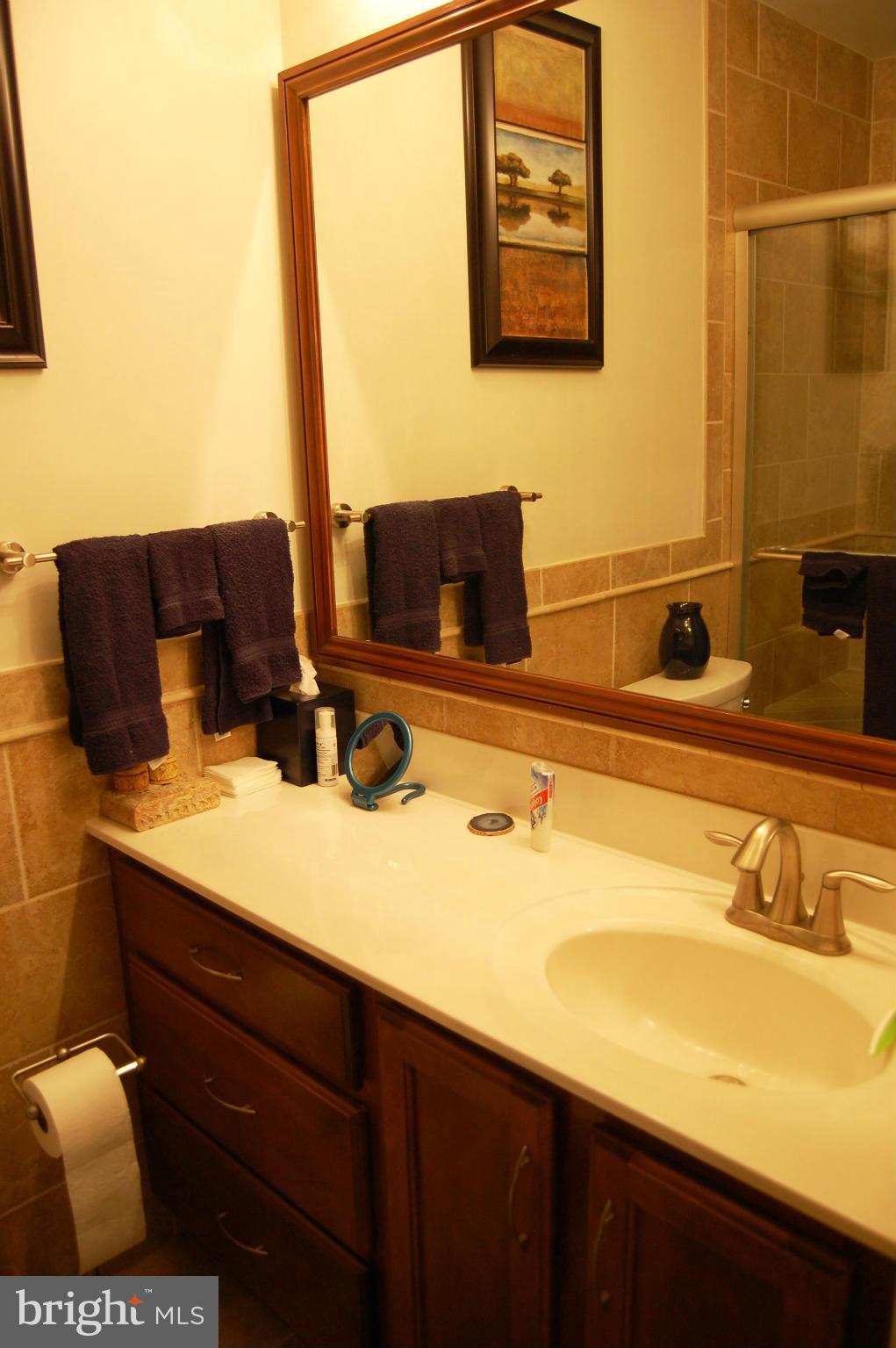 2414 Albot Road Reston, VA 20191 - Photo 15 of 27 Bath (Master)