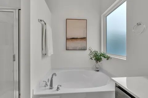 a bathroom with a bathtub and a shower