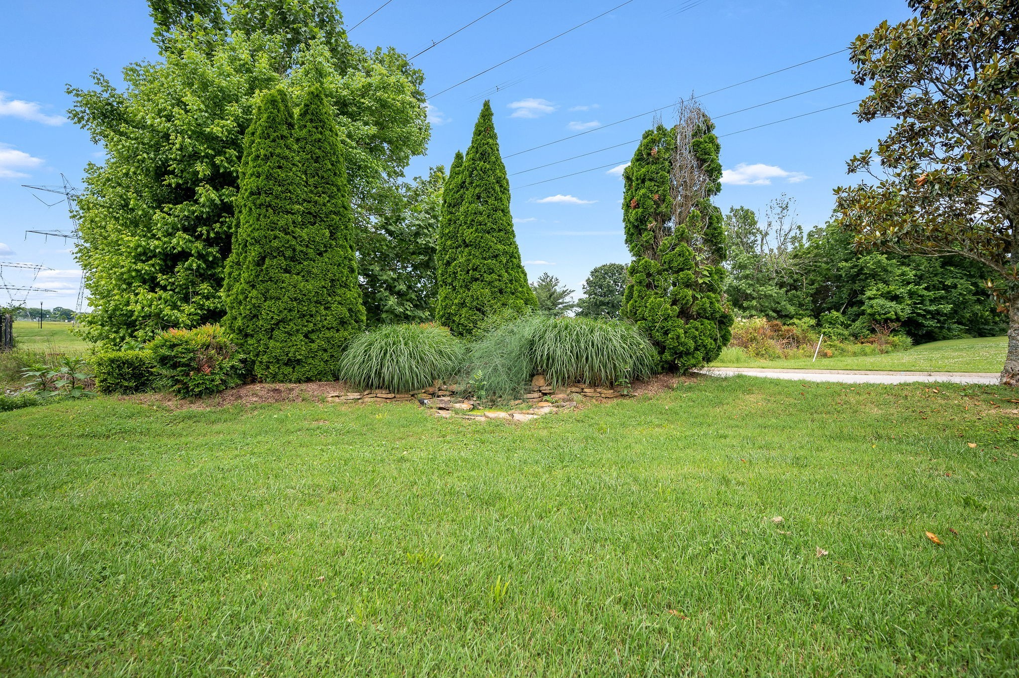 1000 Beverly Lane Spring Hill, TN 37174 - Photo 36 of 54 a view of a garden