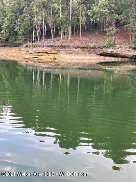 2 Edgewater Bend Arley, AL 35541 - Photo 5 of 5 Gallery Image 5
