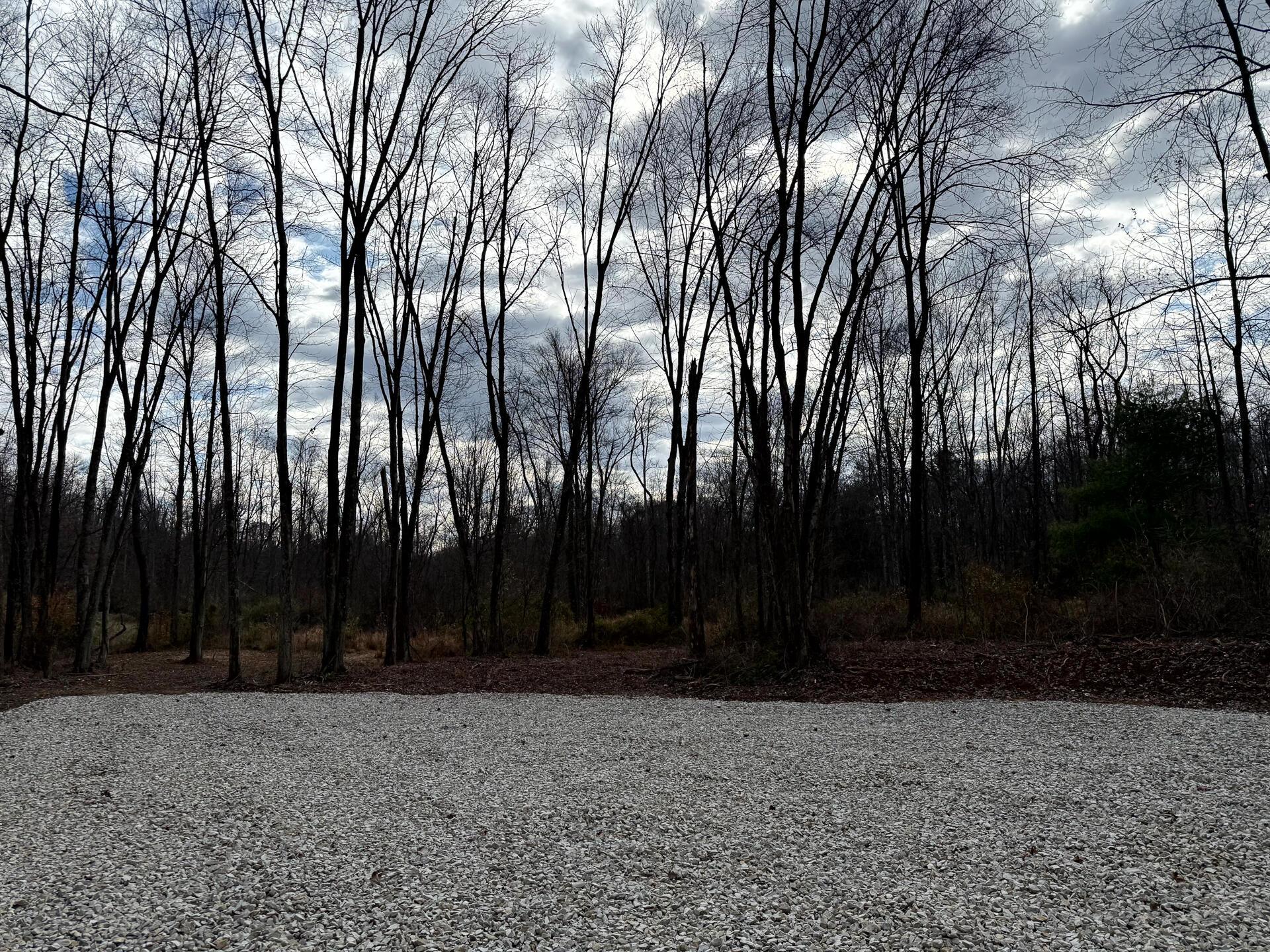 0 Dutch Ridge Road Southeast, Unit WOODS TURKEY RUN TRACT 4) New Lexington, OH 43764 - Photo 20 of 58 CT-20